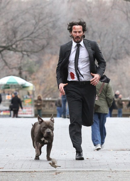 johnwick1