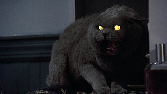 petsematary remake