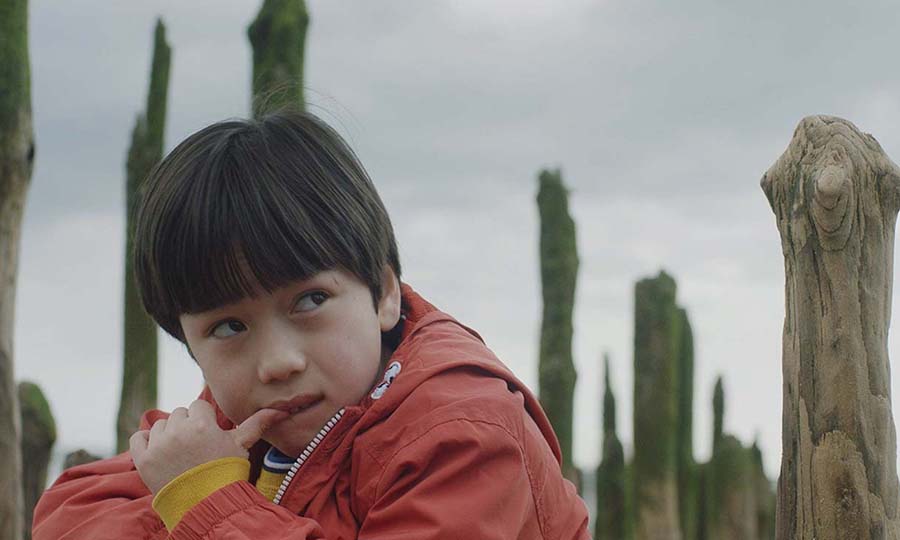 the reason i jump higashida