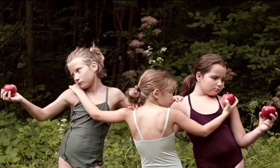 wald der echos la cabina