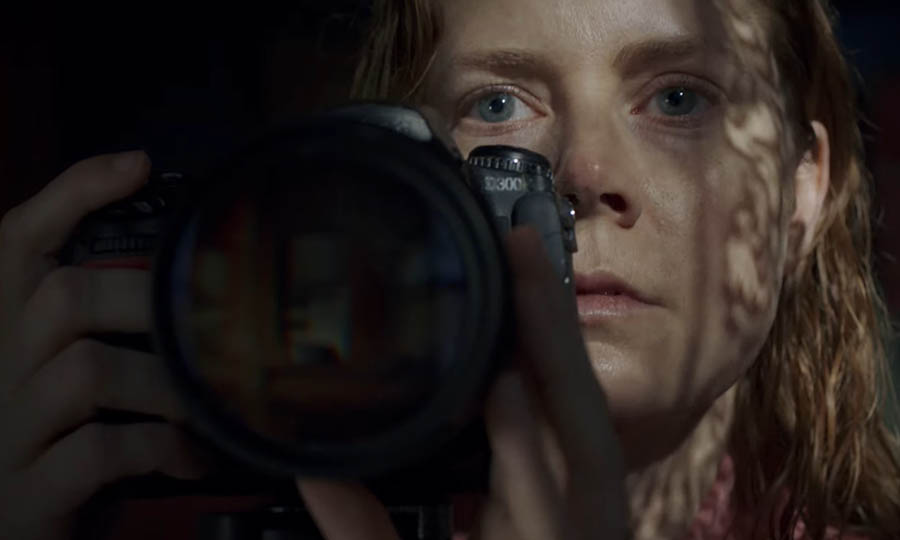 woman in the window netflix